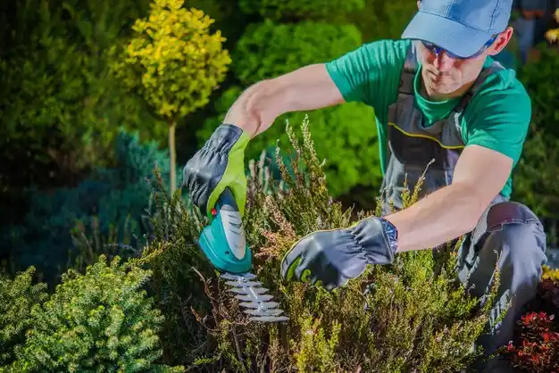 landscaping services Arlington Heights